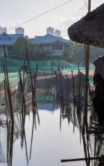 Fishing Ponds