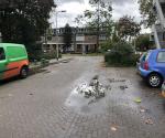 Fieldvisit 18nd of october 2019 - Credit by Antal Zuurman