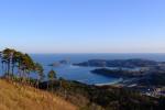 The view from Oshima Island in Kesennuma, Miyagi prefecture. Image by Annelise Giseburt for Mongabay.com