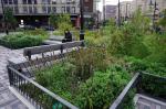 Southwest Resiliency Park (photo: ASSEMBLAGE landscape architecture)