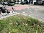 Credit photo by gemeente Leidschendam-Voorburg