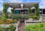 https://www.liv-village.com/liv-cape-town-food-garden/