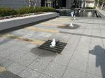 Small fountains in paved area