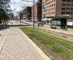 Fieldvisit july 2019, credit by Antal Zuurman