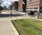 Fieldvisit july 2019, credit by Antal Zuurman