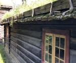 Fieldvisit juli 2019 - credit by Antal Zuurman