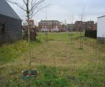 Swale with trees, drains en open overflow to surfacewater - credit Antal zuurman