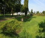 Fieldvisit 2018 - credit Antal Zuurman