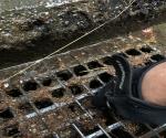 Visit 3rd of July 2021, credit Antal Zuurman