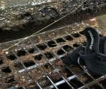 Visit 3rd of July 2021, credit Antal Zuurman