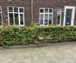 https://zwartewaterland.mapkit.nl/?#maintenance/sewerpipe/c6e8534fadcb442c8c207b494cb8cd95@1896,17,52.6215979,6.0257971