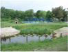 Parkwijk, Winschoten