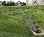 Ferrymuir South Queensferry Detention Basin